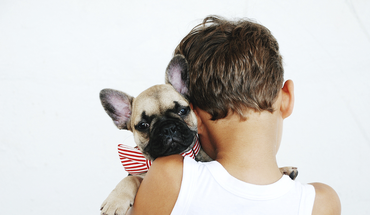 ¿Cuánto cuesta mantener al mes un perro?