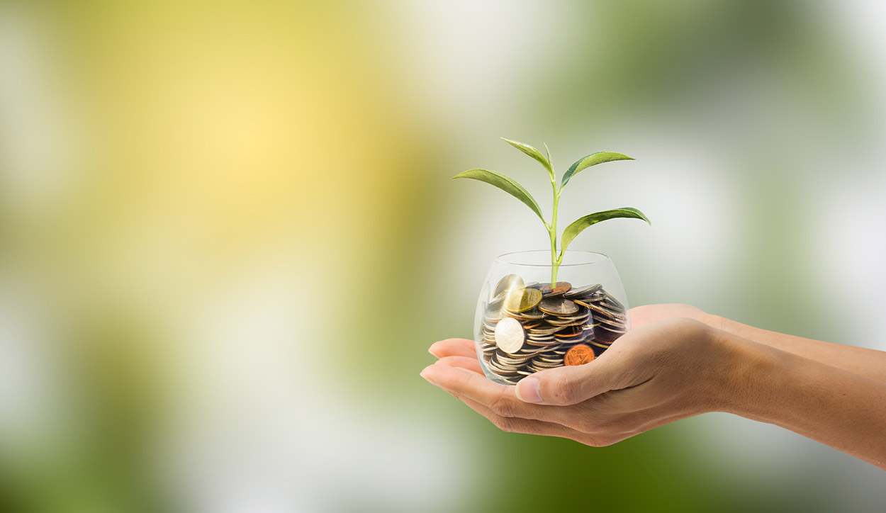 Financiación verde: estrategias para ayudar al planeta